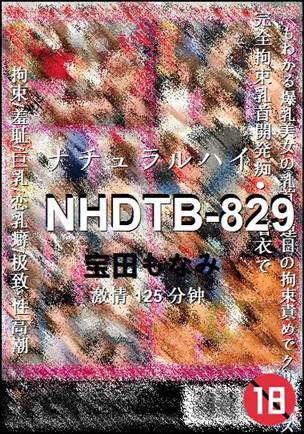 NHDTB-829torrent