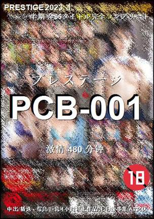 PCB-001torrent