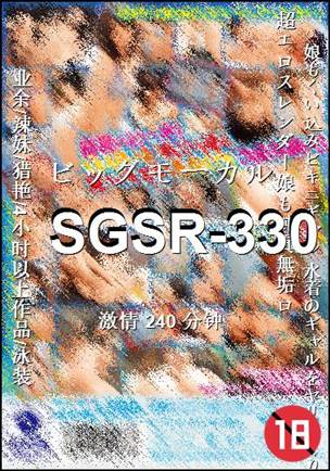 SGSR-330torrent
