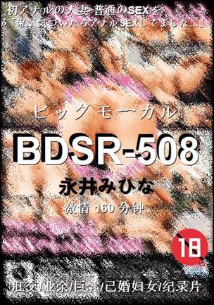 BDSR-508