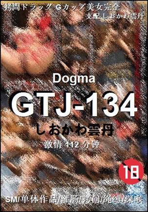GTJ-134