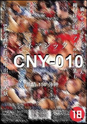 CNY-010torrent