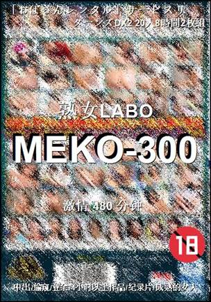 MEKO-300