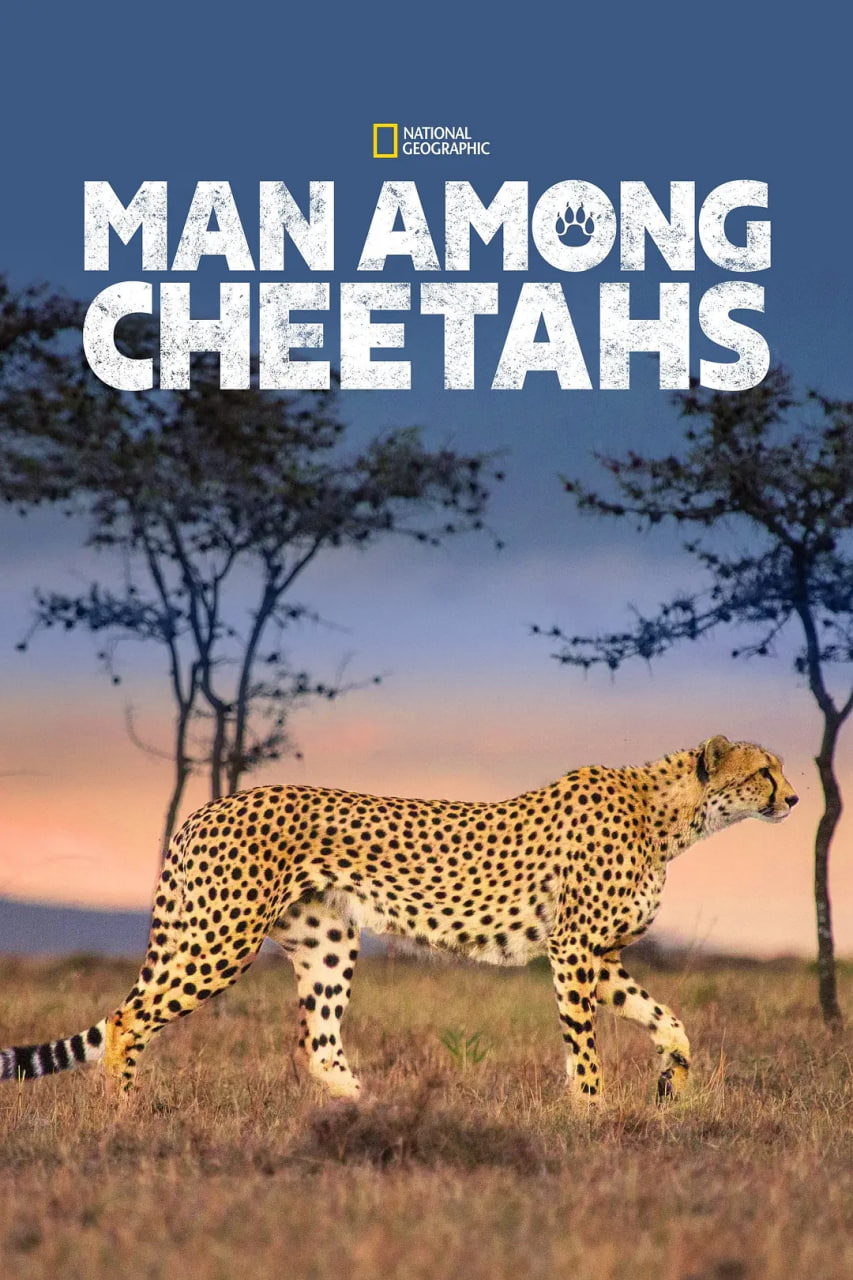 Ϊĸǿ
